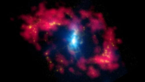 medium_4464301a39d2230e22e589f7793a9a11