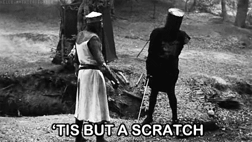 I wanted to take a picture with the Black Knight.  